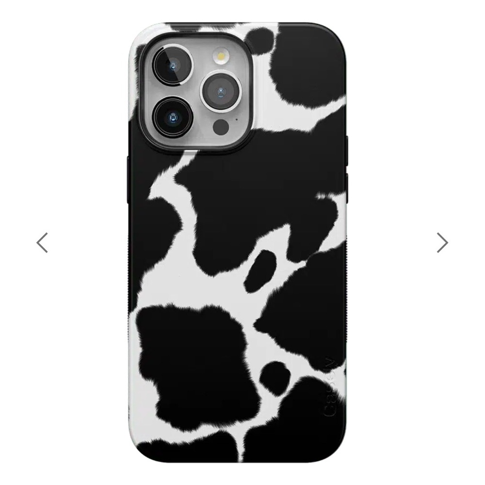 iPhone 15 Pro Max Casely case